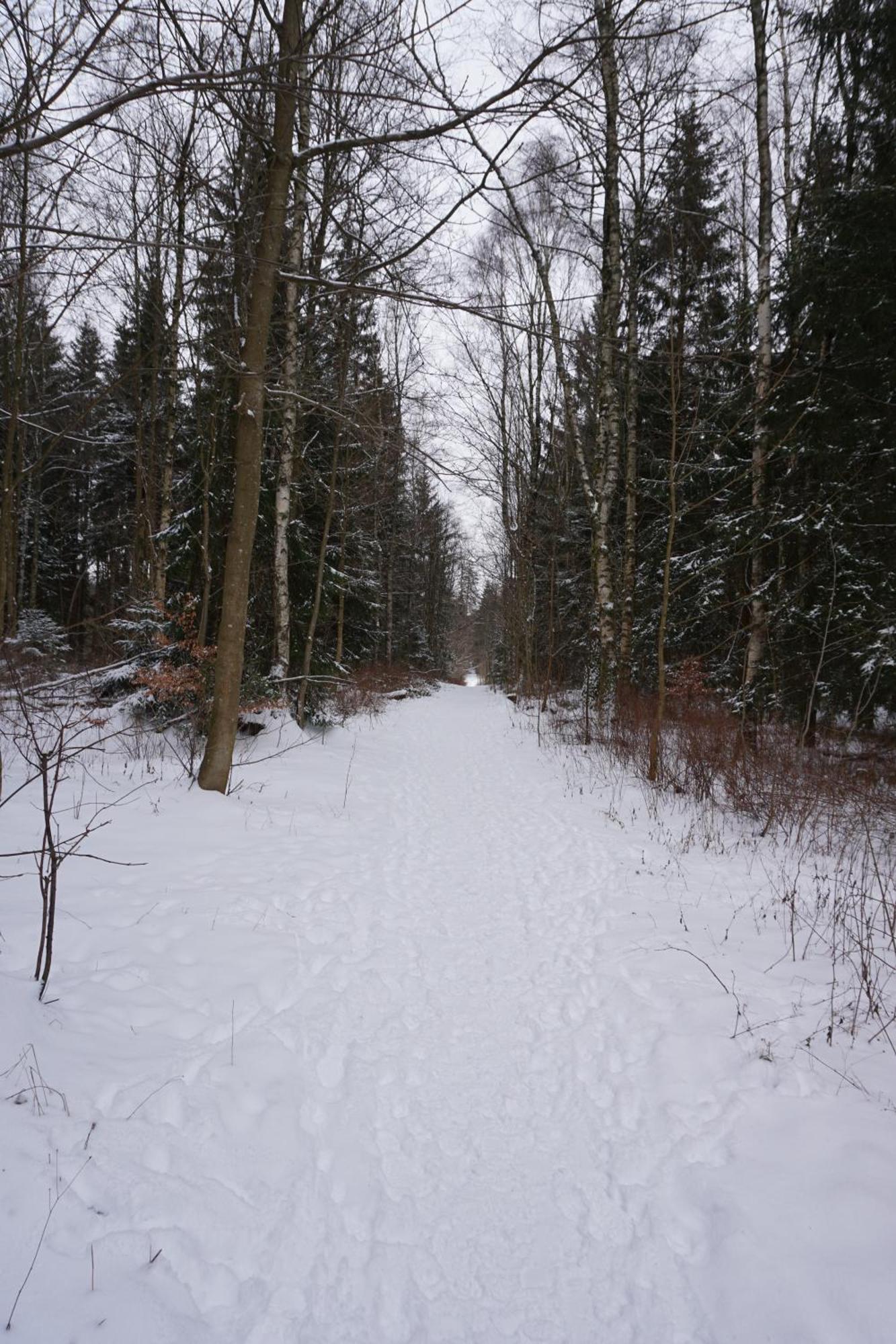Muggelbude Im Harz Braunlage Exterior photo